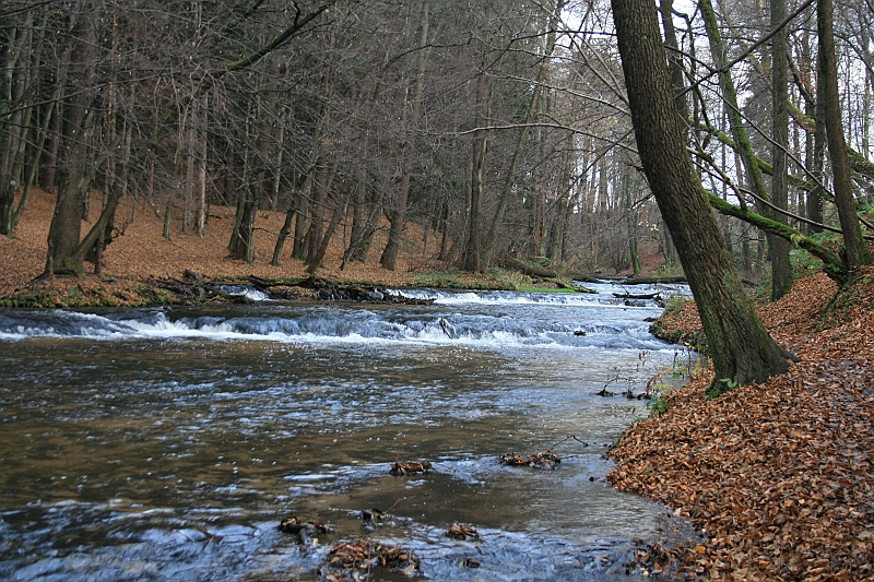 Rostoczek 11.2008 157